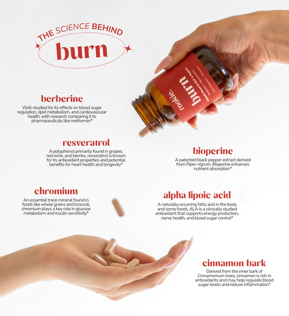 Burn Bundle