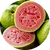 Passion Guava
